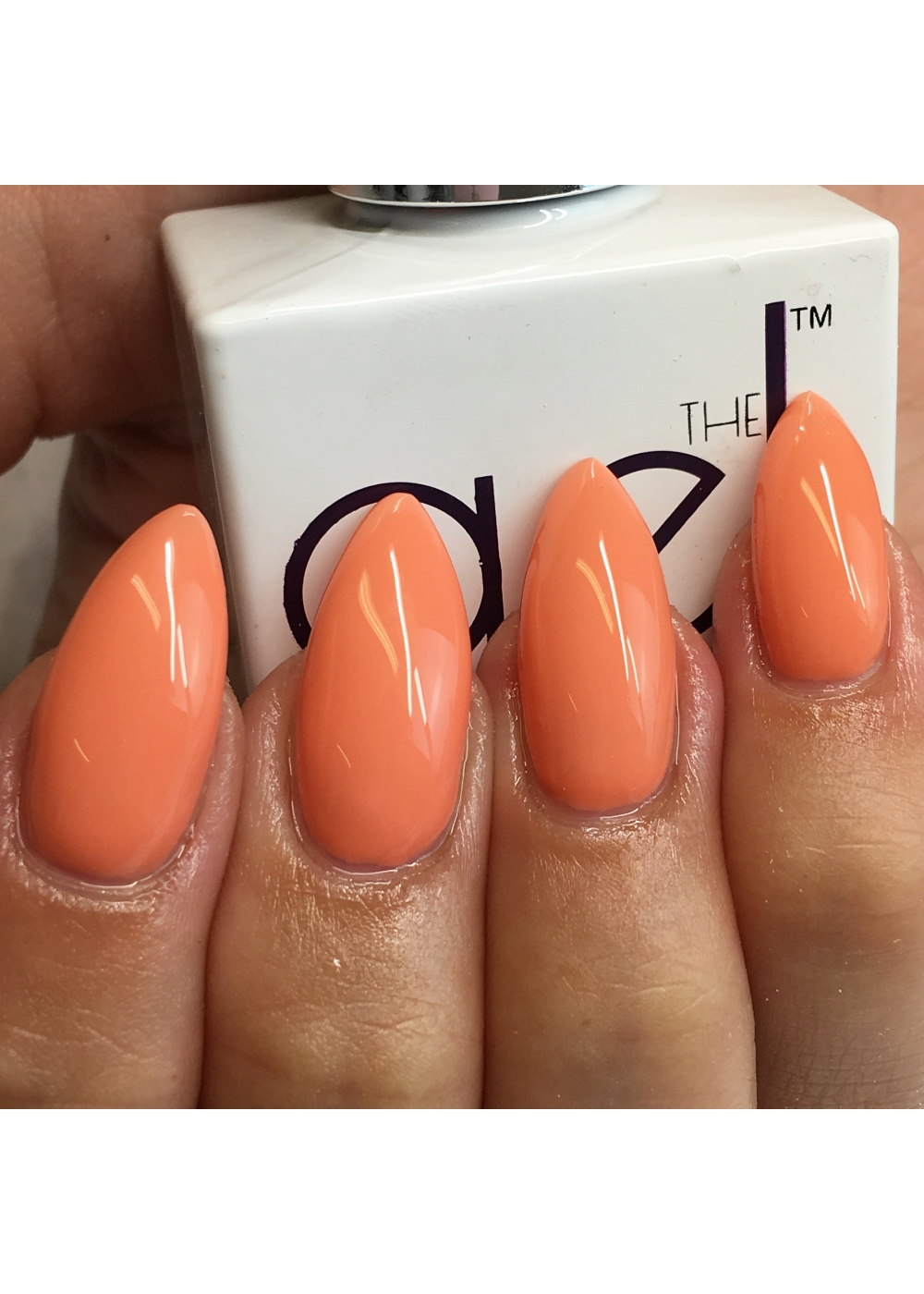 Buy Faces Canada Splash Nail Enamel Apricot 139 8 ml at Rs109 online   Beauty online