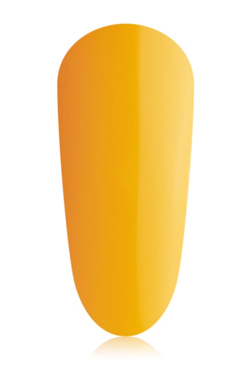 Butternut